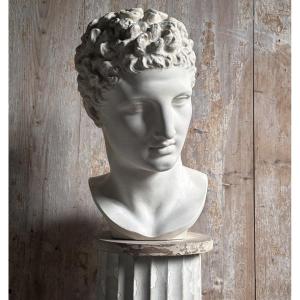 Buste de l’Hermès d’Olympie/Moulage Plâtre Fin.