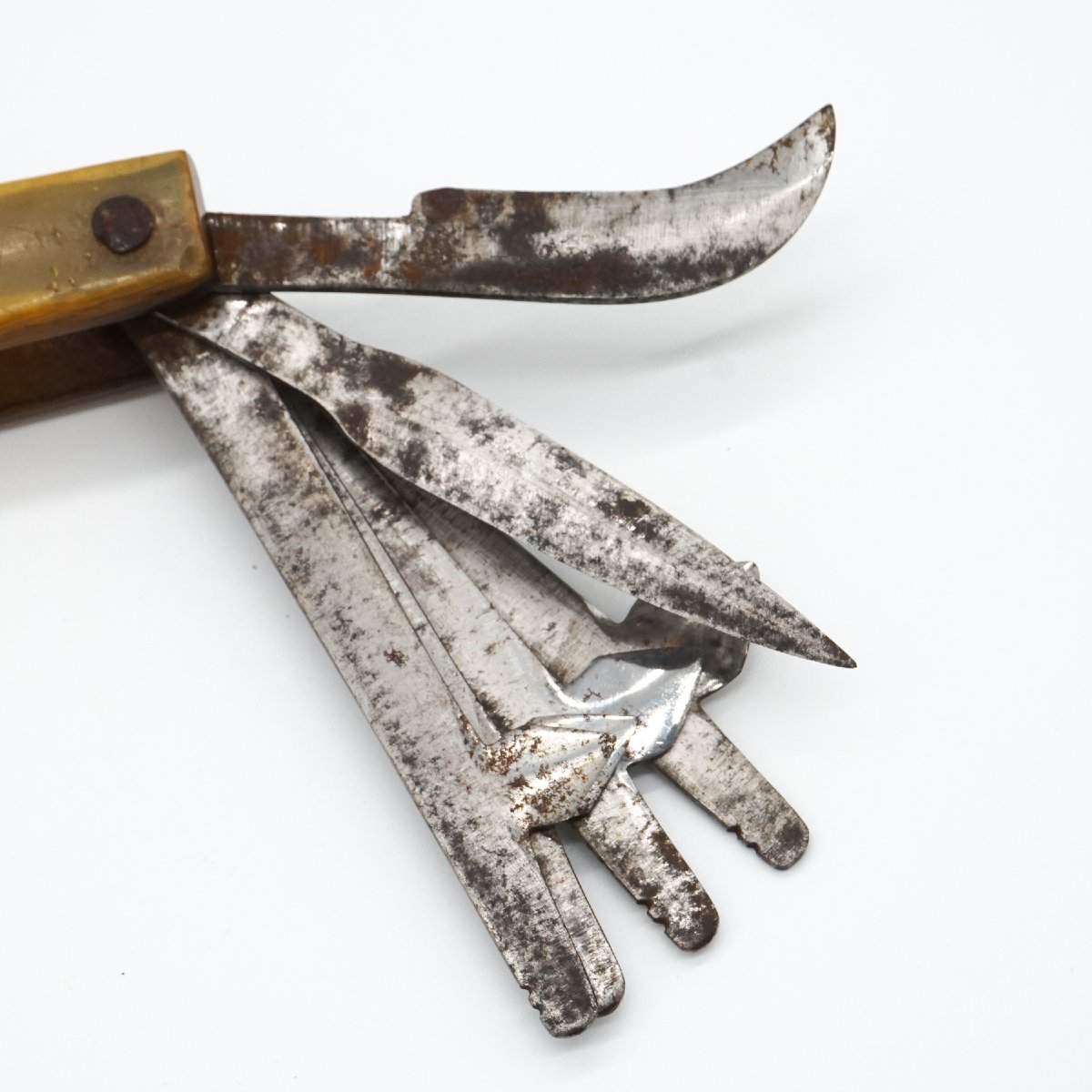 Antique Veterinary Bloodletting Tool With Multiple Blades – 19th Century, Bone Handle-photo-2