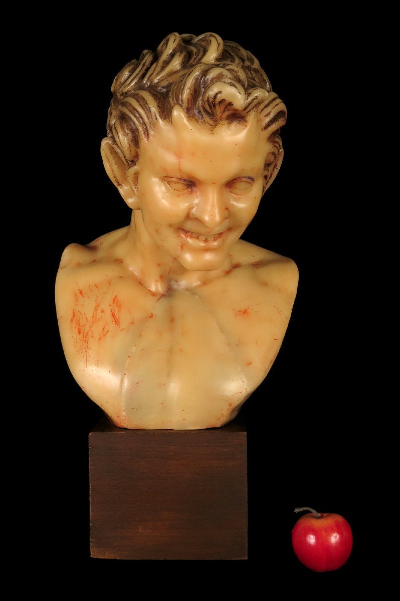 Rare And Old Bust Of Satyr Or Faun In Wax, Circa 1920 / Cabinet Curiosities Oddities