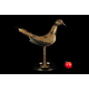 Rare And Antique Zinc Weather Vane, Dove Circa 1850 / Folk Art