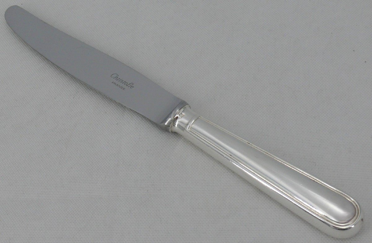 Christofle Albi Model, 12 Table Knives, Silver Metal, 24.5 Cm, Excellent Condition.-photo-3