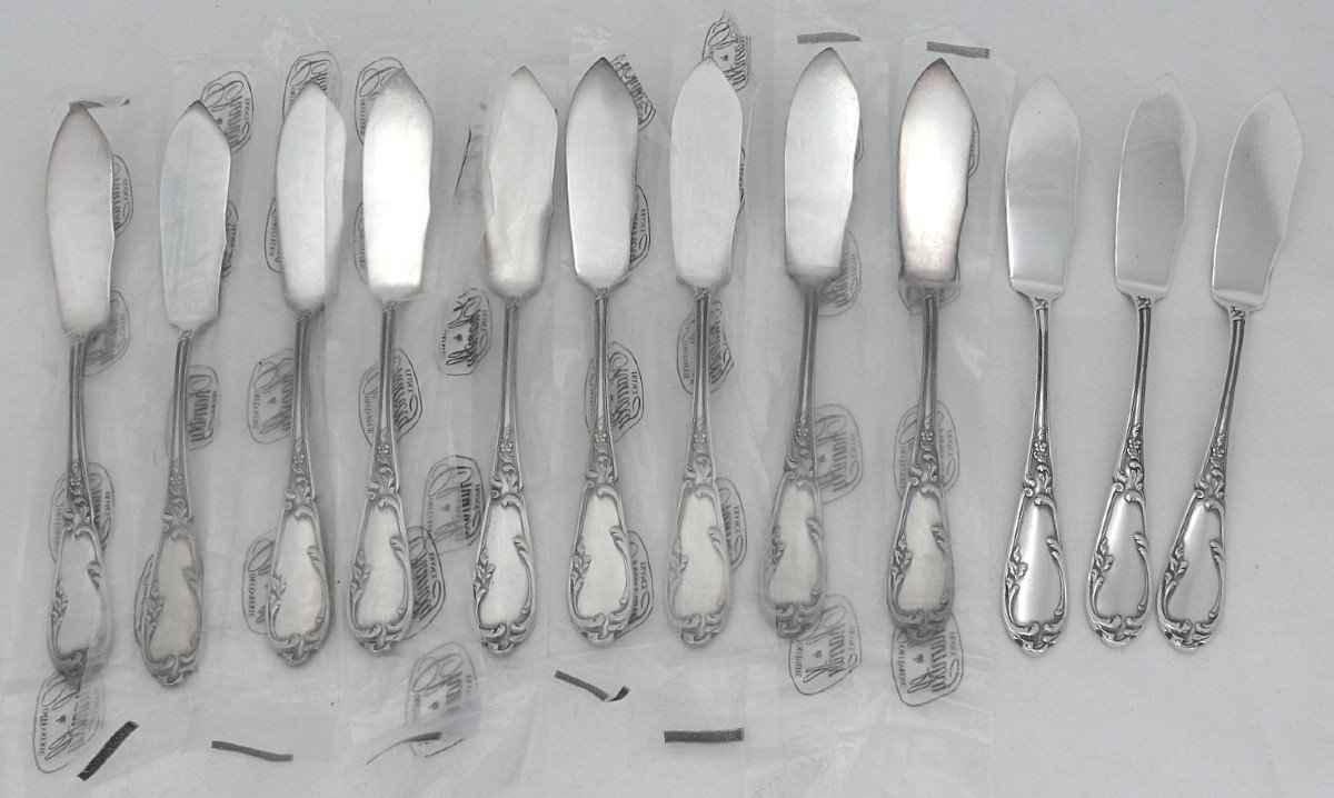 Sfam Chambly Bien Aimée, 12 Fish Cutlery + Serving Cutlery, 26 Pieces, Silver Metal.-photo-2