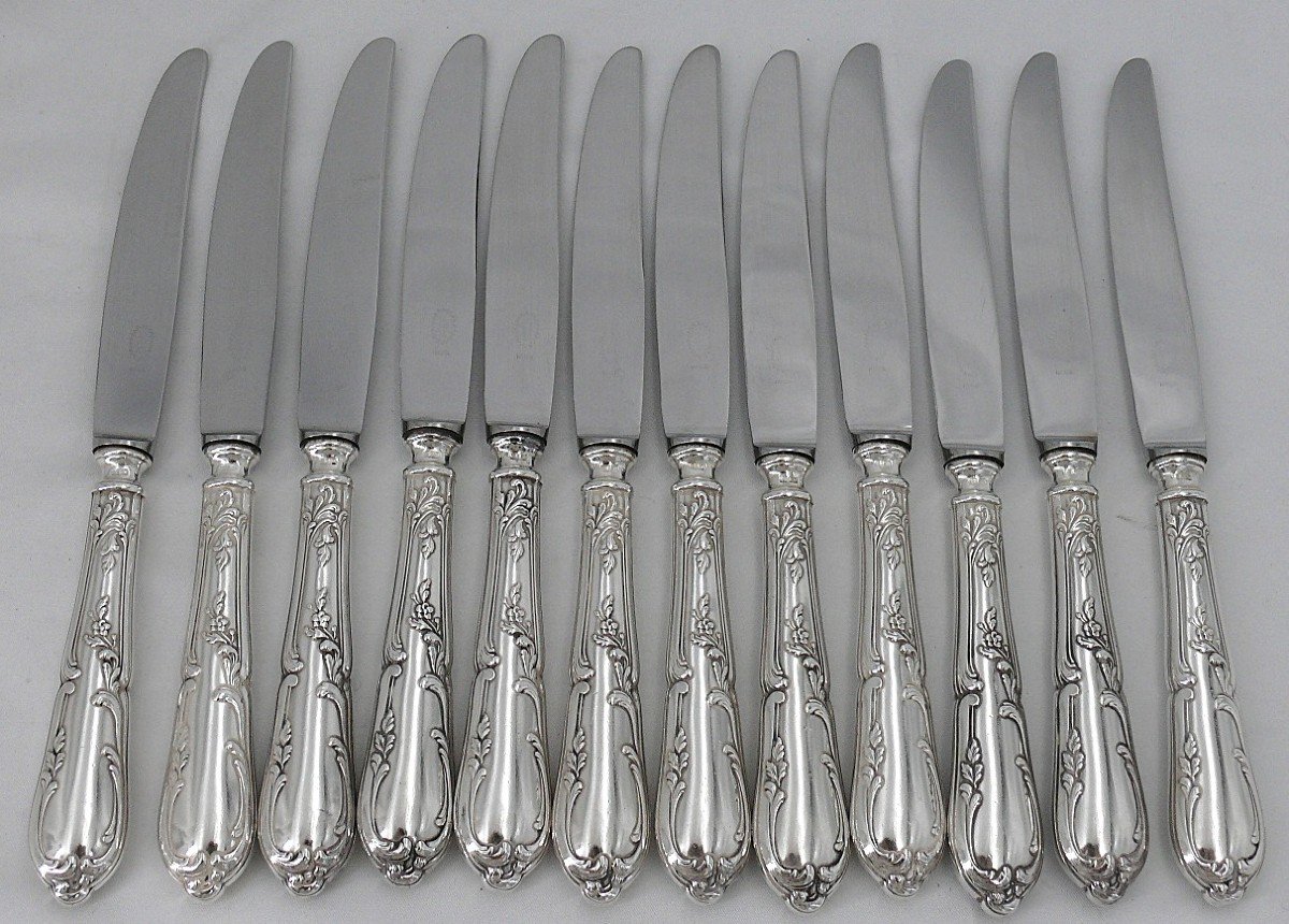 Sfam Bien Aimée Model, 24 Knives: 12 Table Knives + 12 For Entremets, Dessert, Cheese.-photo-4