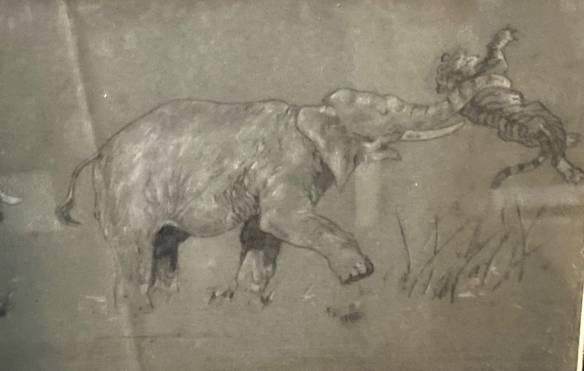 Dessin D’éléphants Luttant Contre Un Tigre XIXème Siècle -photo-2