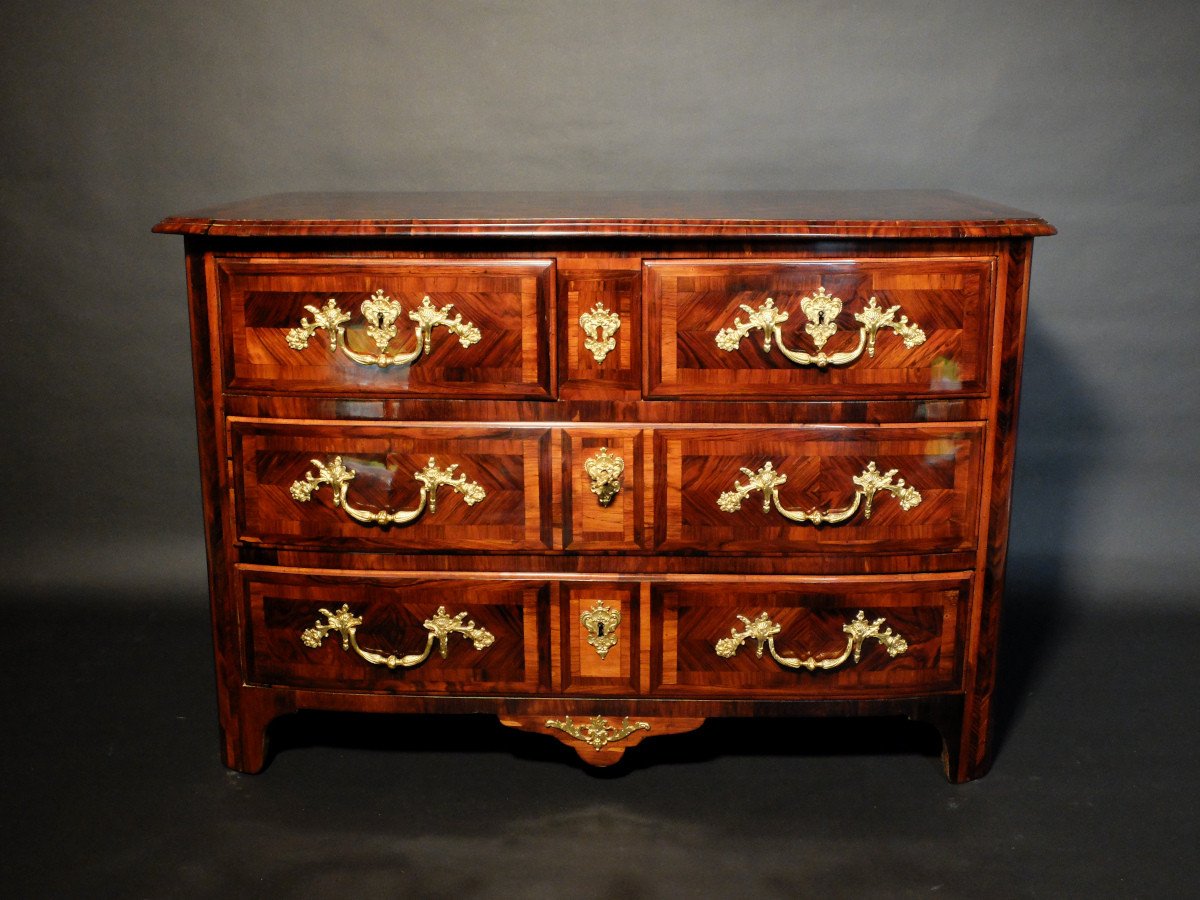 Regency Period Chest Of Drawers In Violet Wood-photo-2