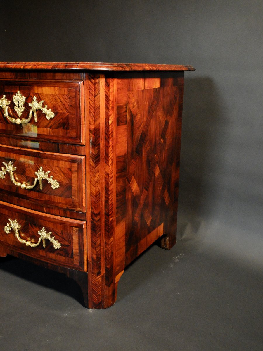 Regency Period Chest Of Drawers In Violet Wood-photo-4