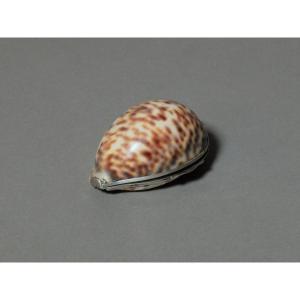 Shell Snuff Box With Silver Mount, 19th Century.