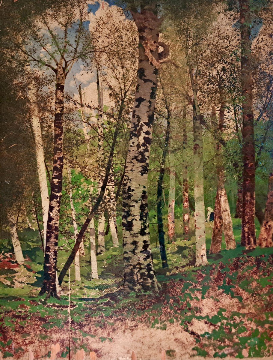 Northern School Woman In A Birch Forest-photo-2