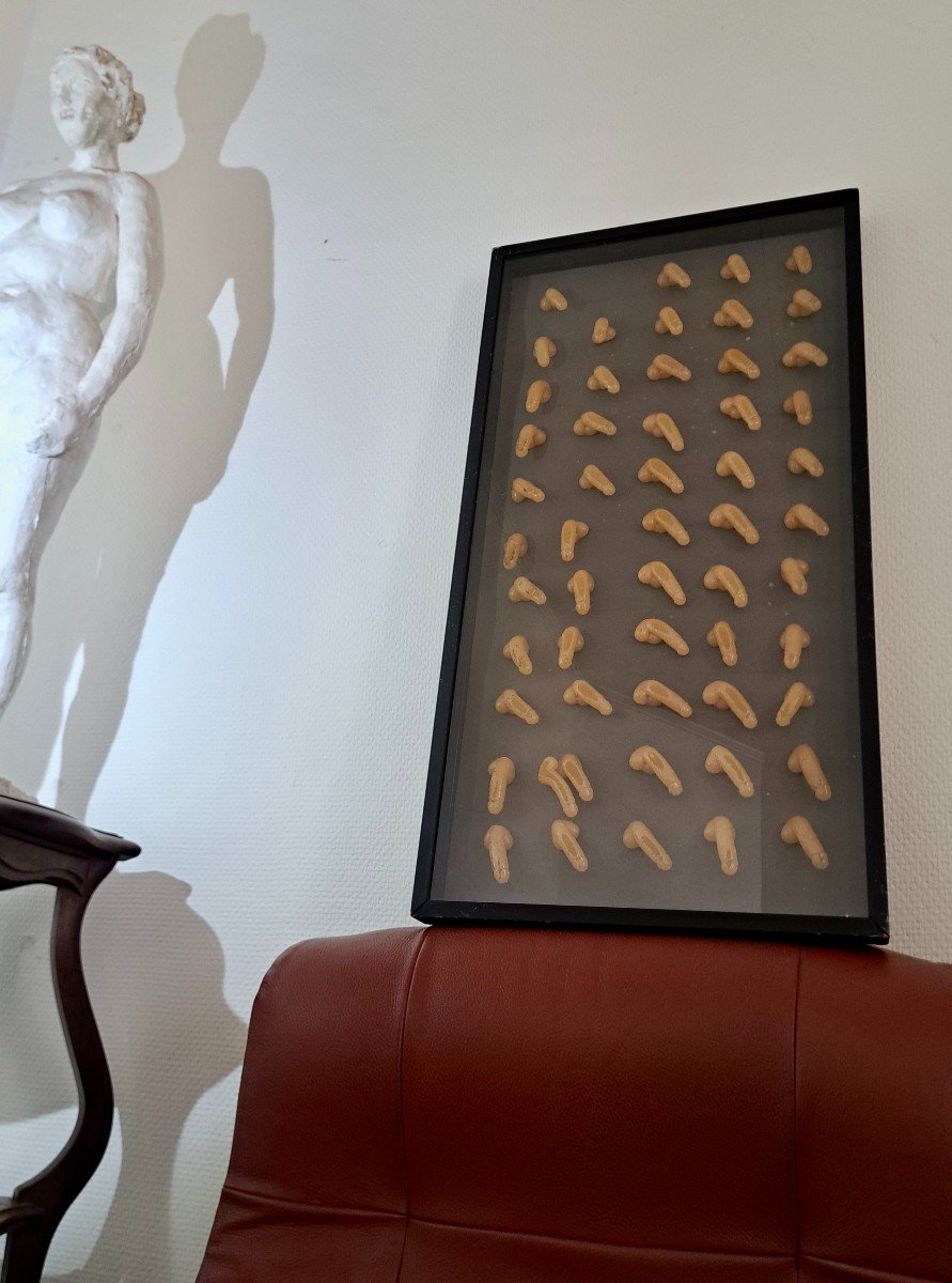 Erotic Man Accumulation Of 55 Small Sex Or Phalluses Framed Under Glass 