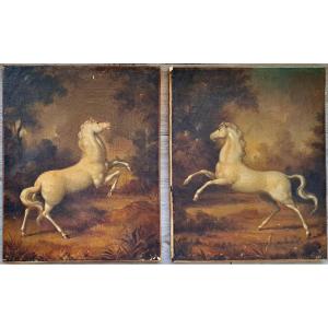  paire de tableaux chevaux XIXe / art équestre cheval