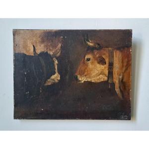 French School Cow And Bull Oil On Paper Mounted On Canvas