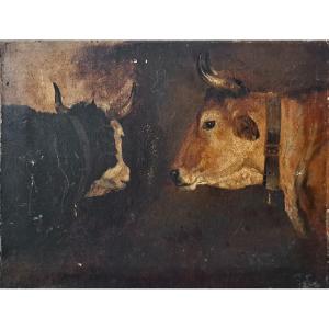 French School Cow And Bull Oil On Paper Mounted On Canvas