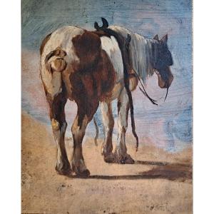 French School 19th Century The Back Of A Horse Oil On Paper 