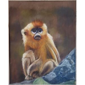 Portrait Of A Golden Monkey Rhinopithecus By A. Derenne