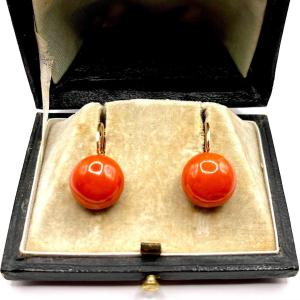 4949. Boucles d'Oreilles Corail