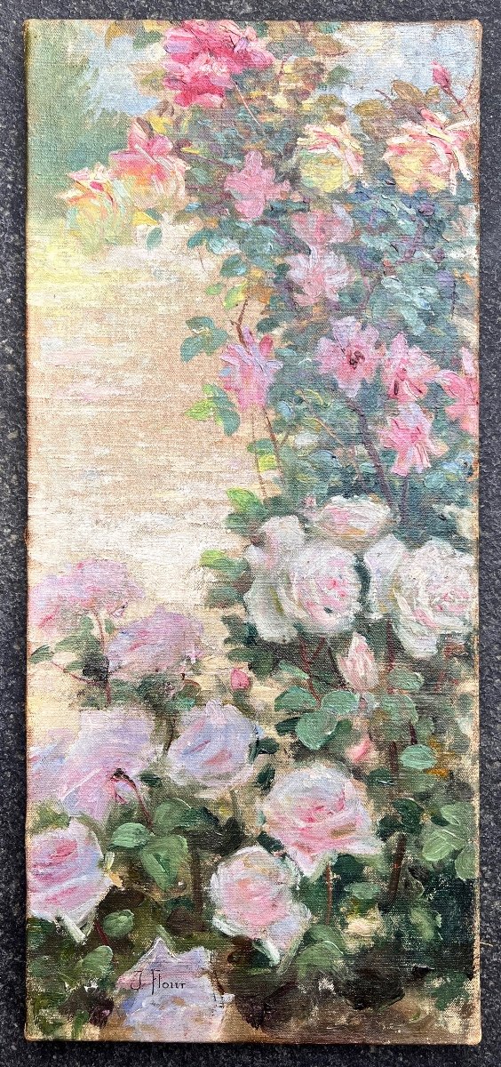 Jules Flour (1864-1921) Provence Avignon Group Of Thirteen Rose Garden-photo-2