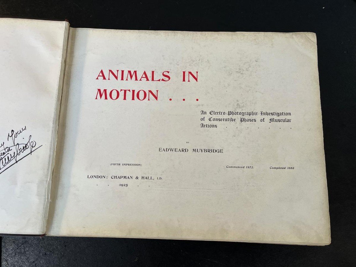 Rare Livre Animals In Motion Eadweard Muybridge 1925-photo-4