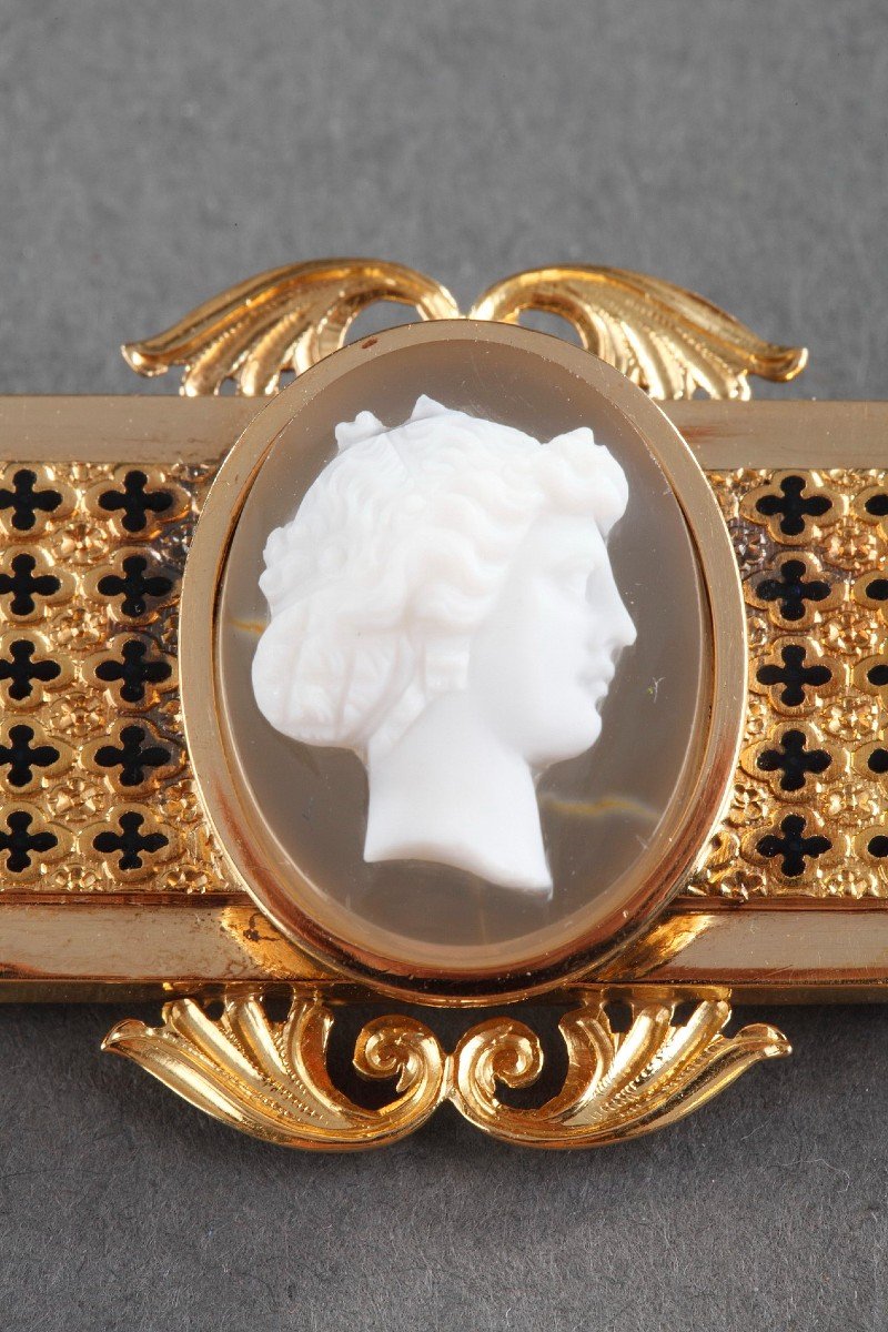 Agate And Enamel Cameo Brooch, 19th Century-photo-4