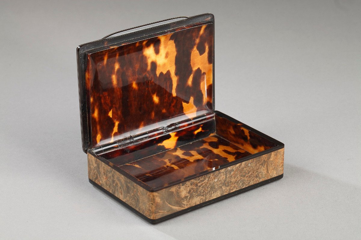 19th Tortoishell Box With Fixé Sous Verre And Eglomised Glass. Early 19th Century. -photo-7