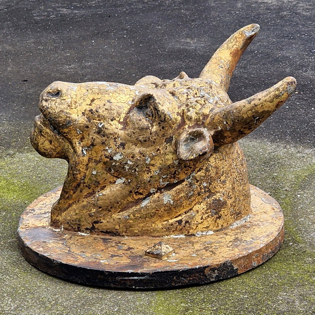 Cast Iron Bull's Head-photo-1