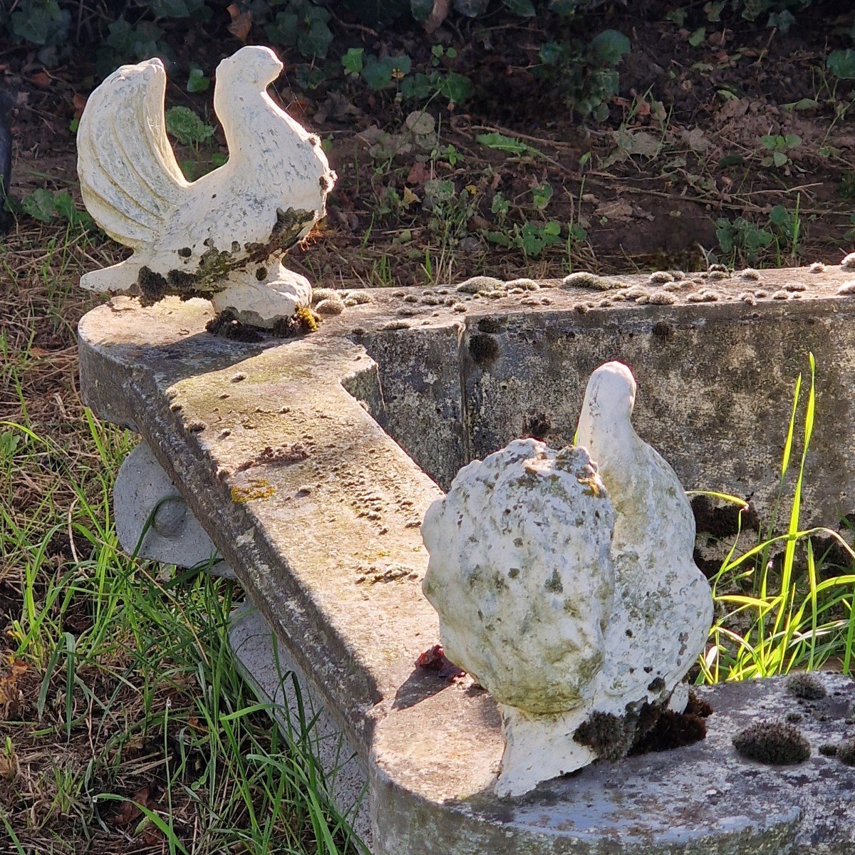 Unique Fountain With Pigeons-photo-1