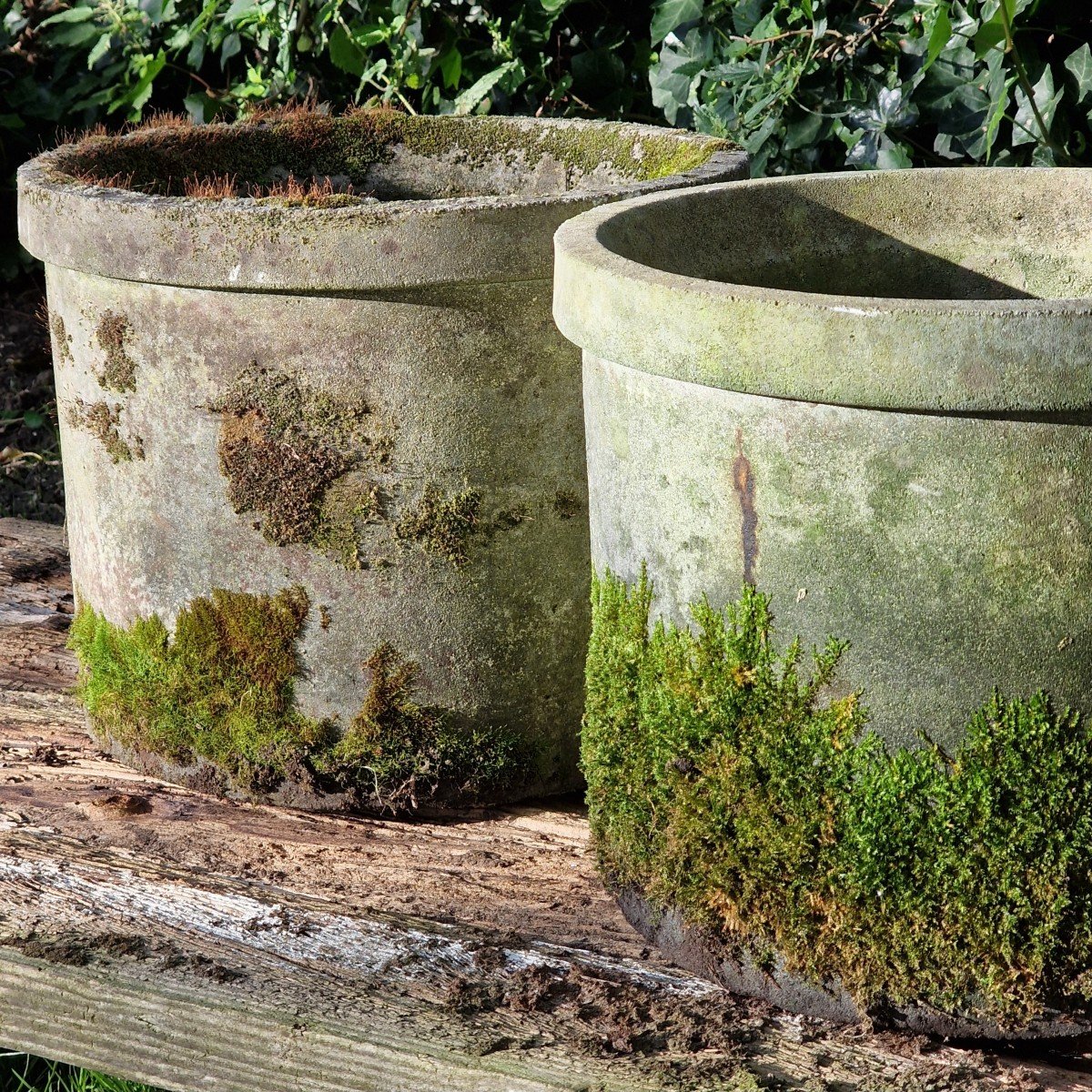 Pair Of Mossy Planters-photo-4