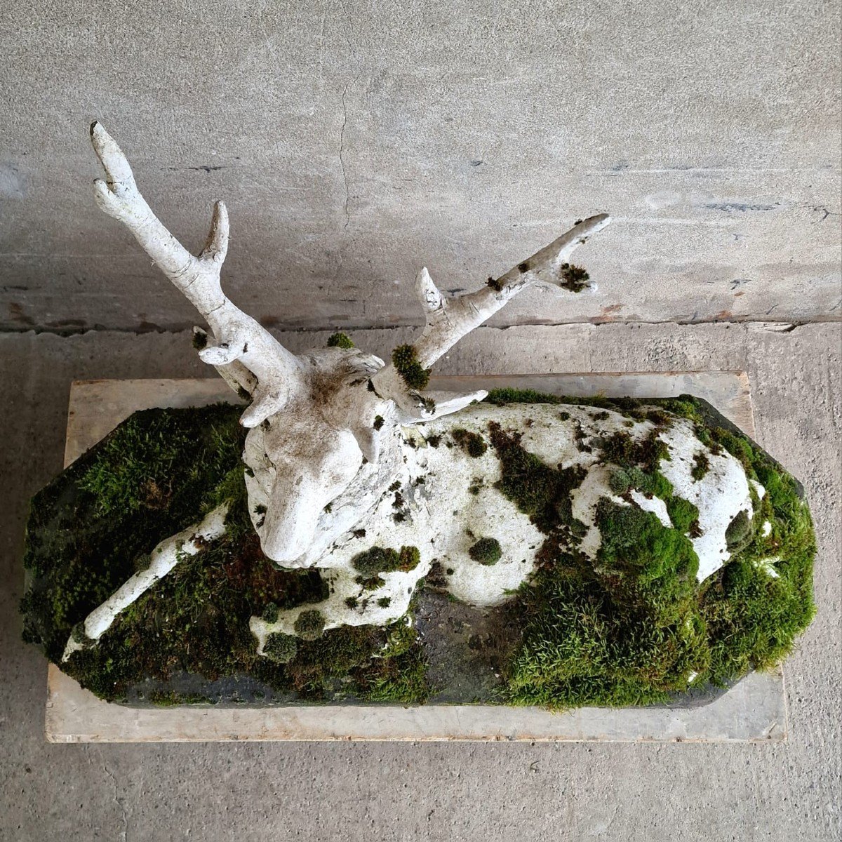 Mossy Reconstituted Stone Deer-photo-5