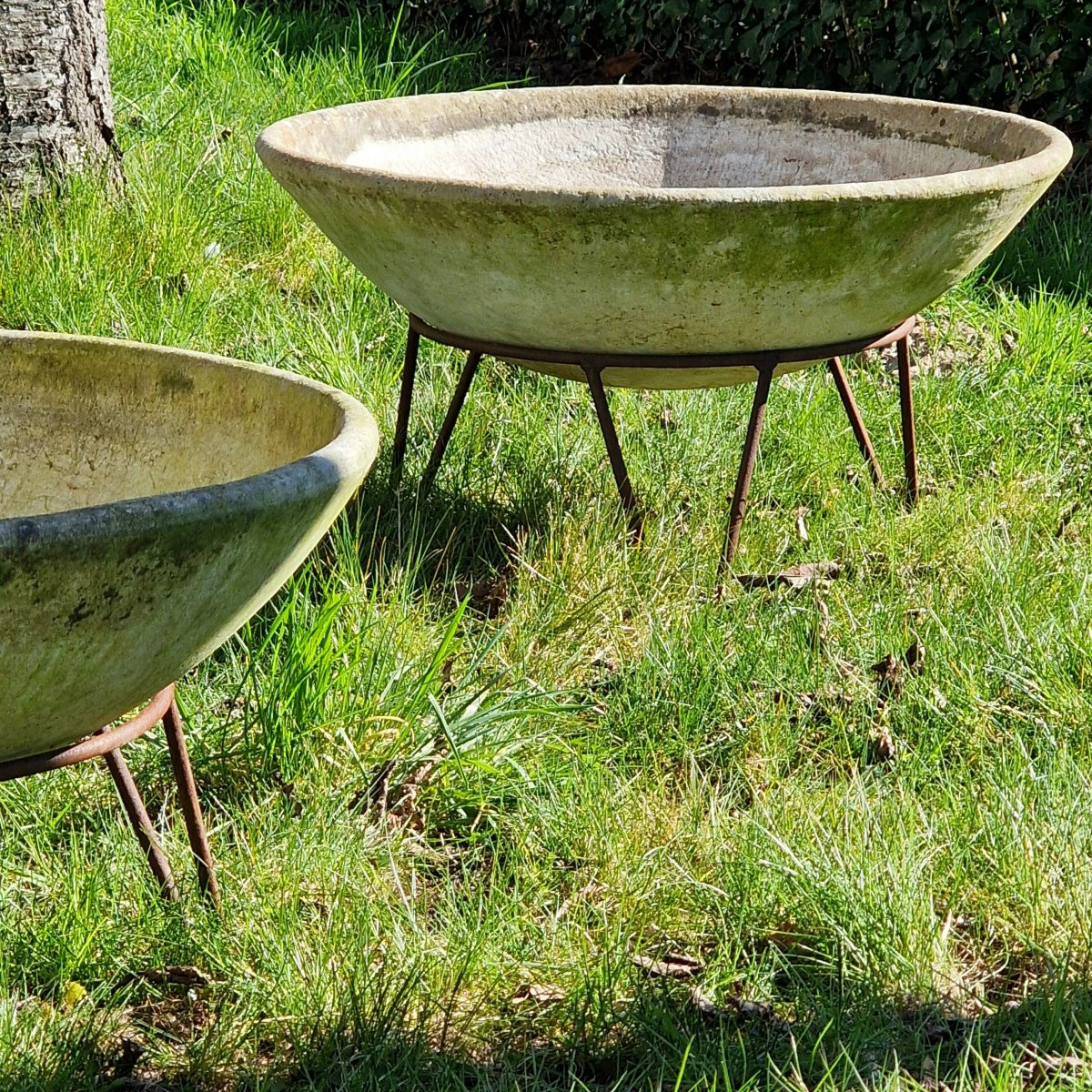 4 Disc-shaped Planters By Willy Guhl-photo-3