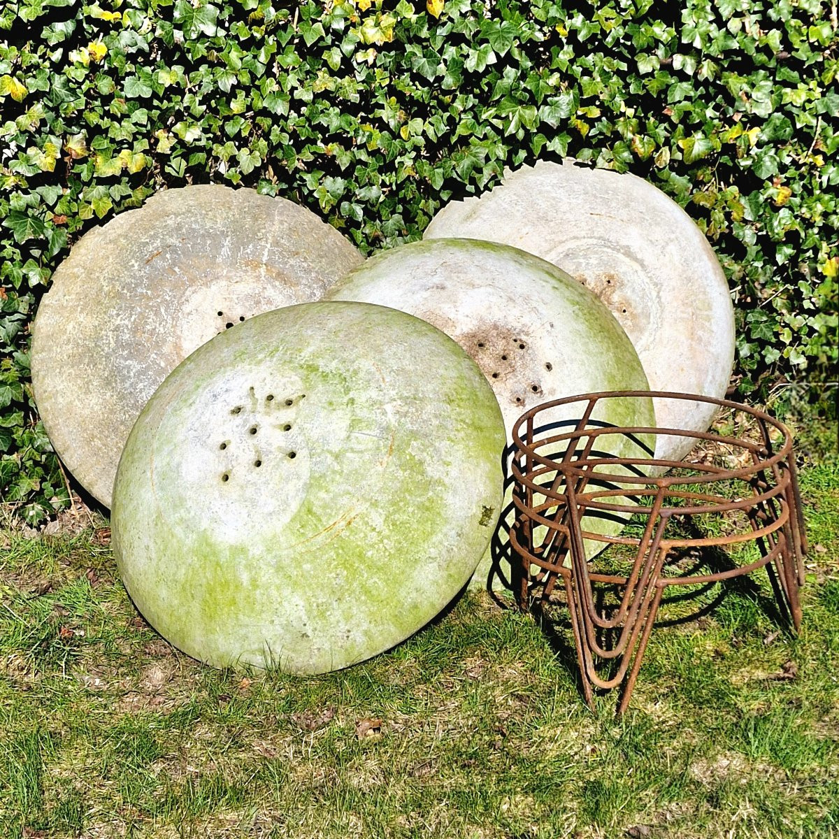 4 Disc-shaped Planters By Willy Guhl-photo-5