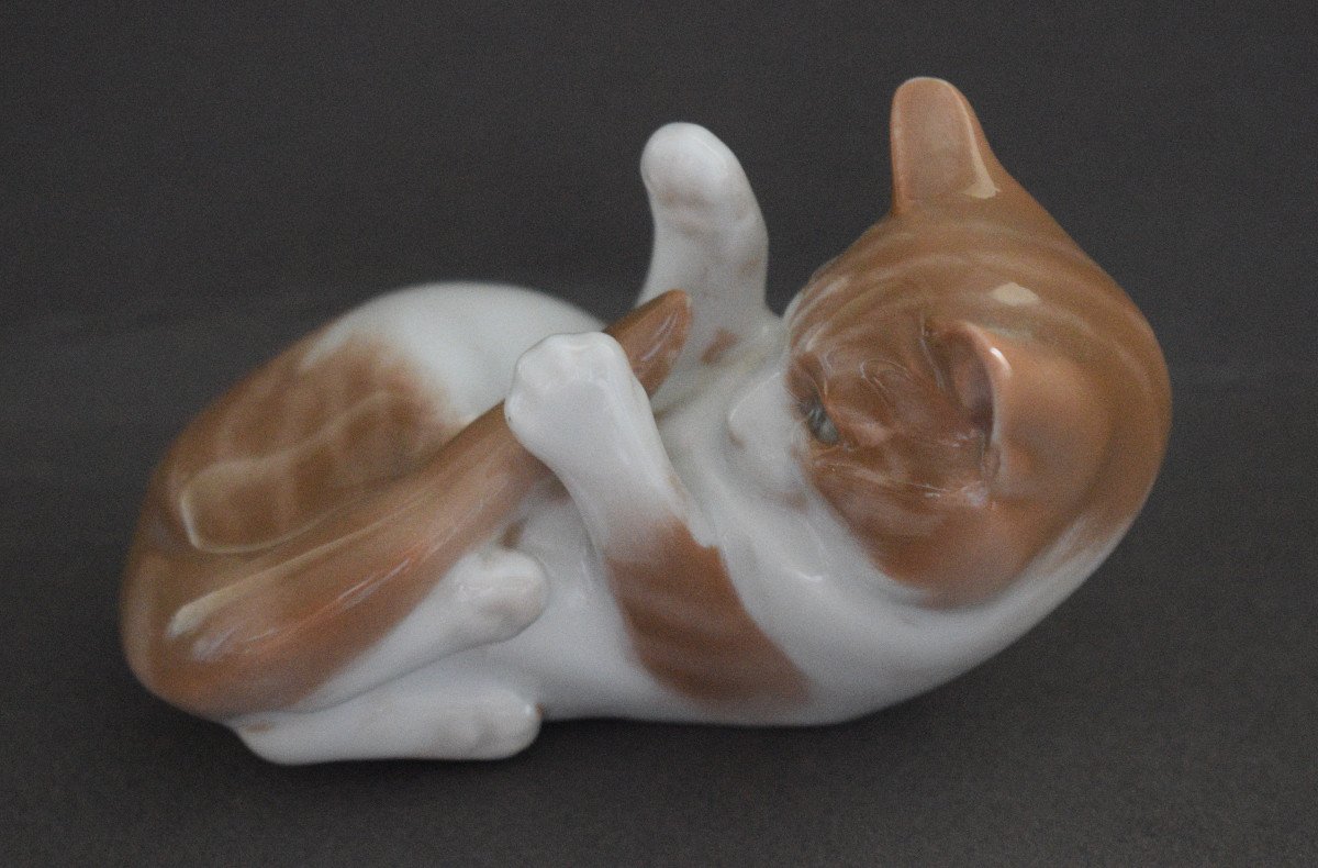 Polychrome Porcelain Cat From The Royal Copenhagen Manufactory-photo-4