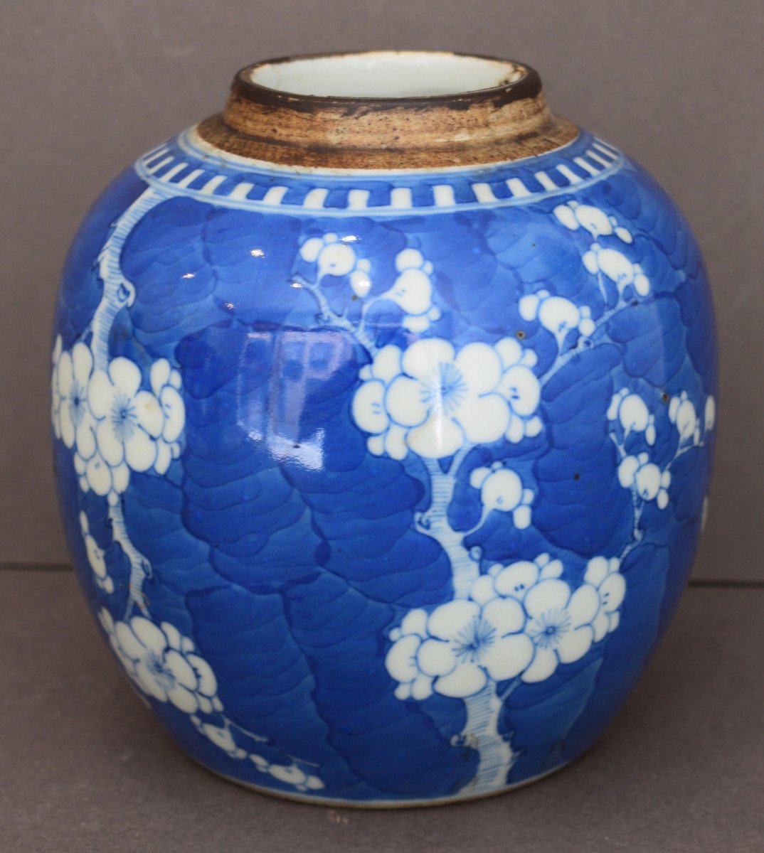 China Porcelain Ginger Pot