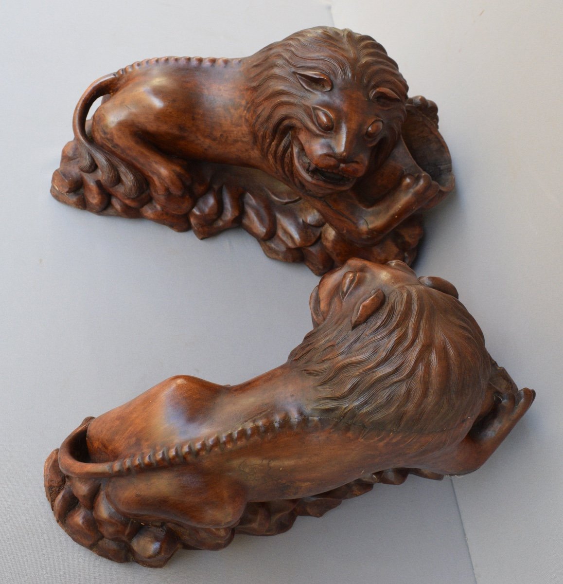 Lion-shaped Trophy Holder In Exotic Wood From Vietnam, End Of The 19th Century-photo-4