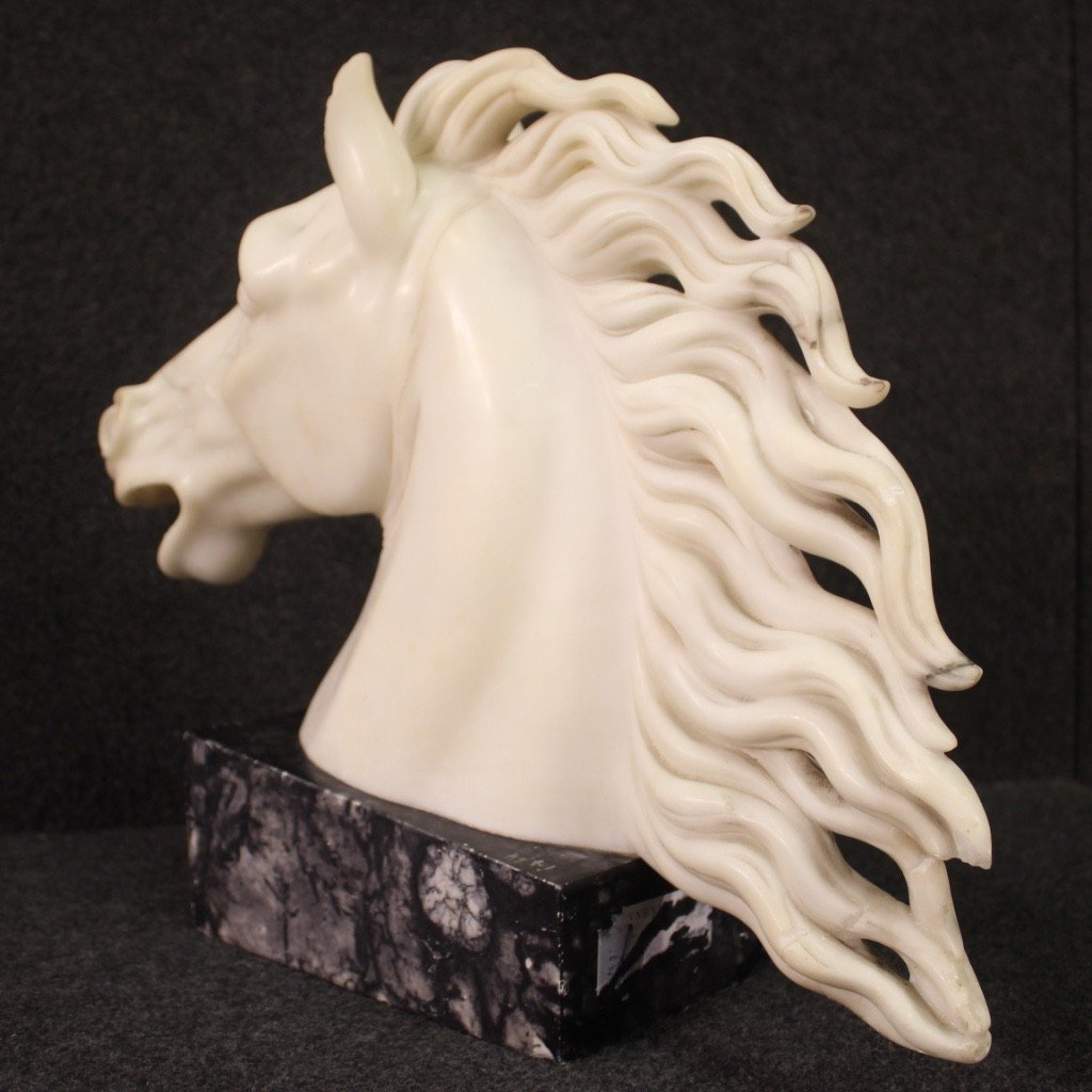 Sculpture en marbre blanc tête de cheval du 20ème siècle-photo-3