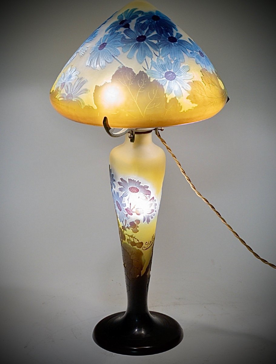 Lampe De Galle A Décor De Fleurs De Cinéraires -photo-5