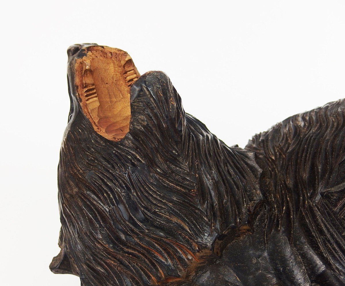 Ours Aïnou En Bois Sculpté-photo-7