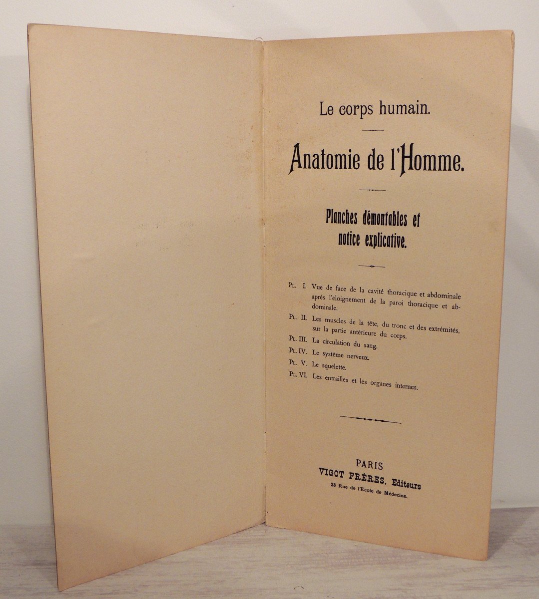 Anatomy, The Human Body Of Woman And Man, By The Vigot Brothers, Early 20th Century -photo-3