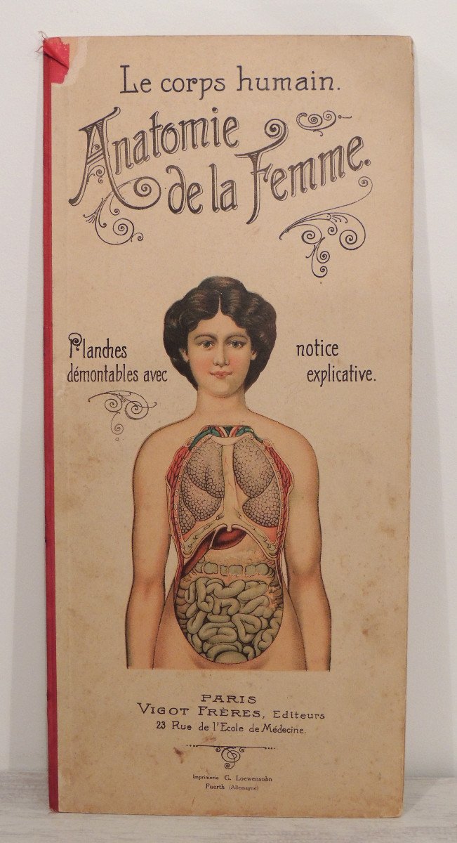 Anatomy, The Human Body Of Woman And Man, By The Vigot Brothers, Early 20th Century -photo-2