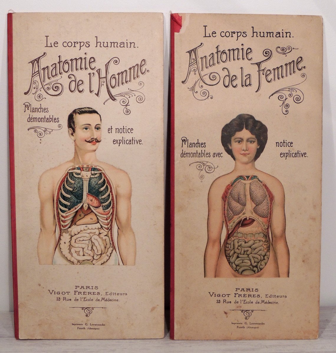 Anatomy, The Human Body Of Woman And Man, By The Vigot Brothers, Early 20th Century 