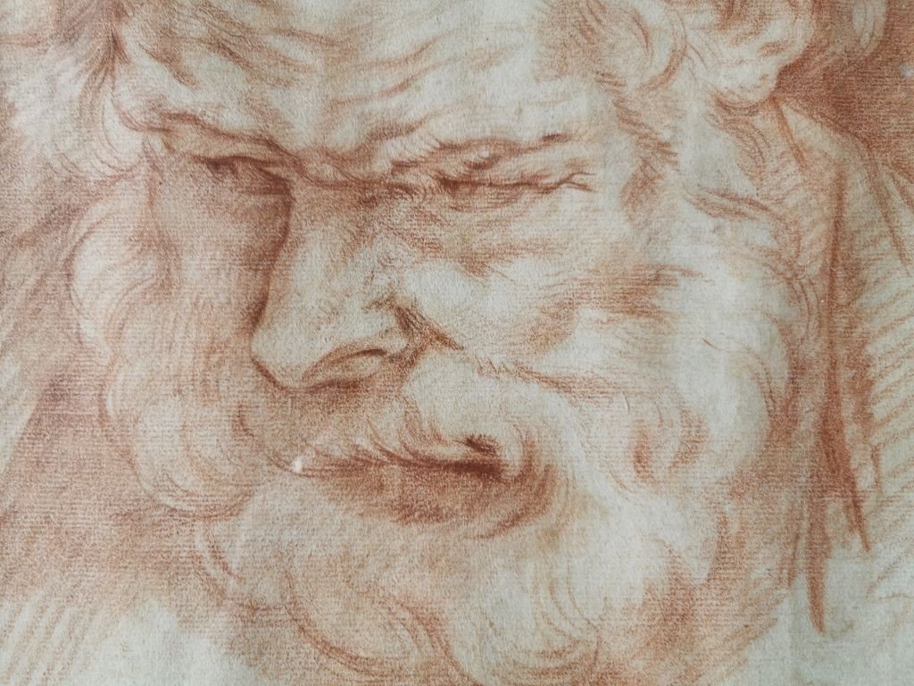 Portrait d'Un Vieil Homme. Suiveur De Jacob Jordaens. Début XVIIIème-photo-3