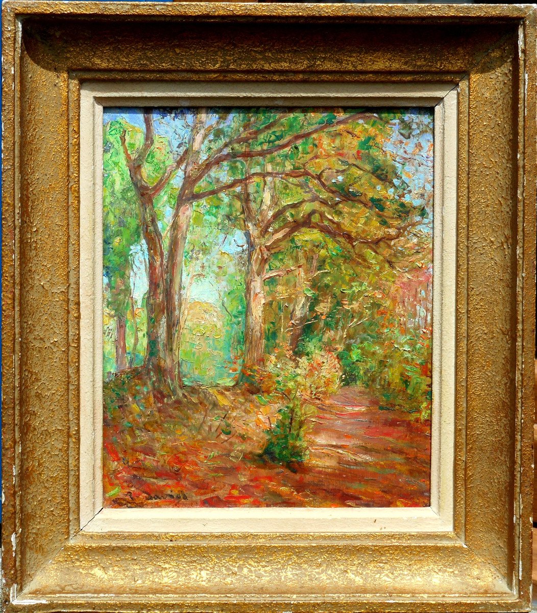 Raoul DAVID ( 1876-1950) BRETAGNE - Vitré - RENNES hsb 28 x 23 cm - sous bois en automne-photo-3