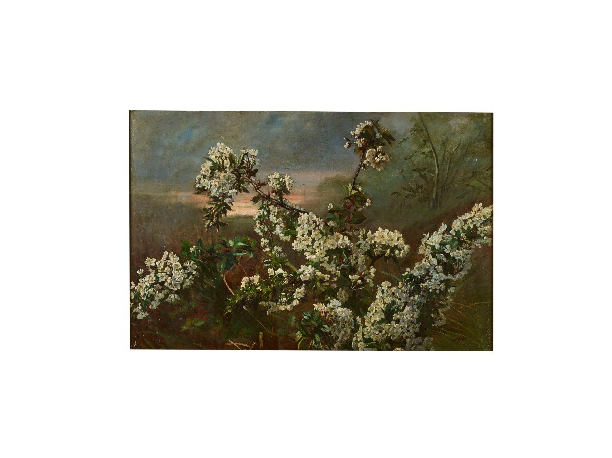 Branche De Cerisier En Fleurs - Alfred Emile Méry (1824-1896) -photo-2