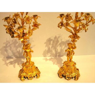 Pair Of Candelabra Late 19th