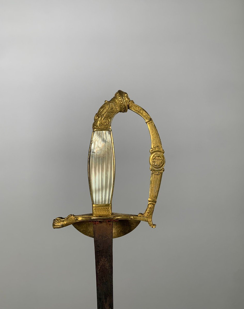 Officer's Sword Member Of The Institute Of Egypt Empire / Consulate Period 18th Century -photo-1