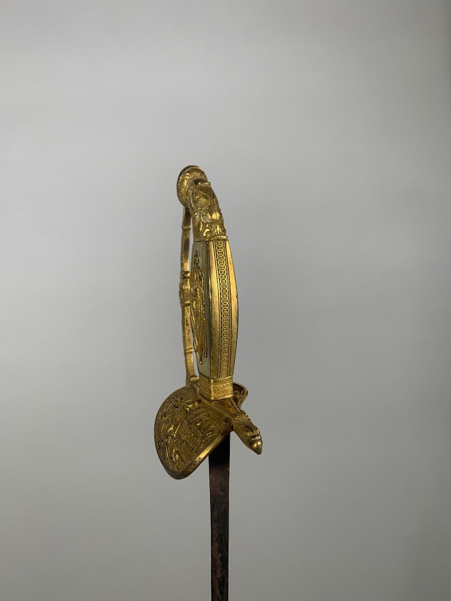 Officer's Sword Member Of The Institute Of Egypt Empire / Consulate Period 18th Century -photo-3