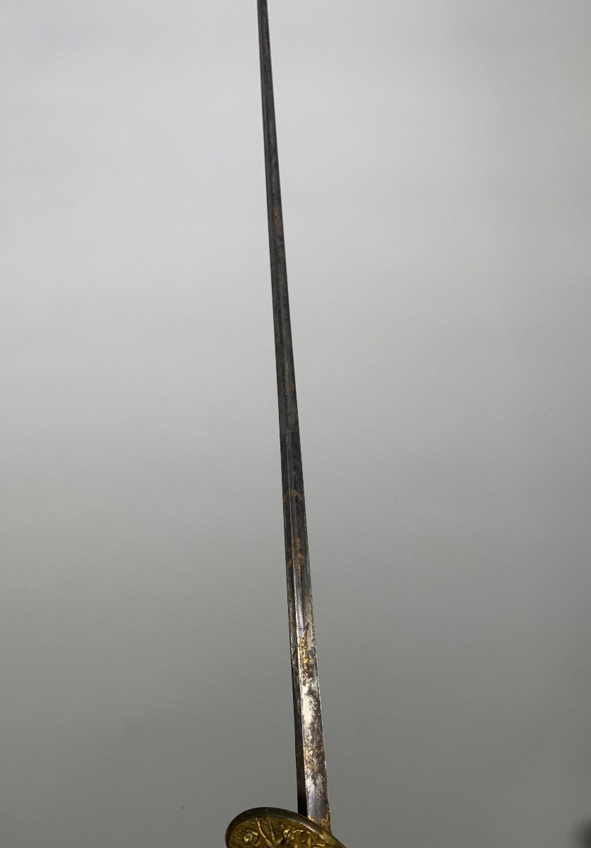 Officer's Sword Member Of The Institute Of Egypt Empire / Consulate Period 18th Century -photo-7