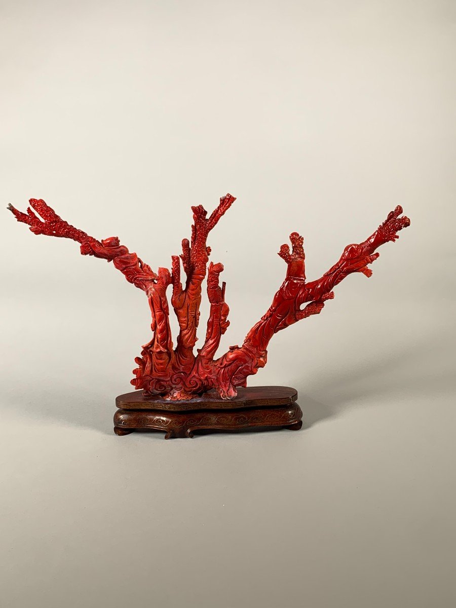 Large Coral Sculpture China Early 20th Century -photo-7