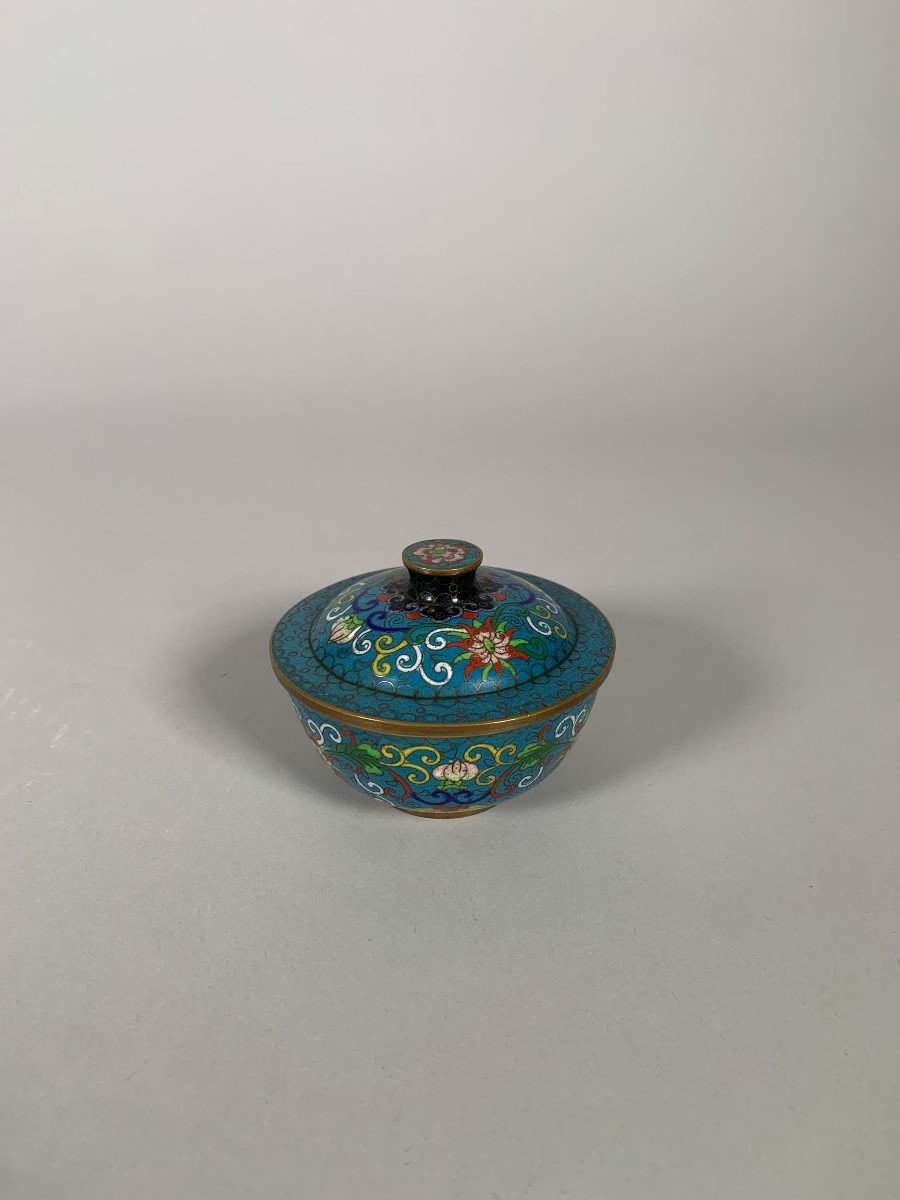 Covered Pot In Cloisonne Bronze China Jiaqing Period 19th Century  -photo-3