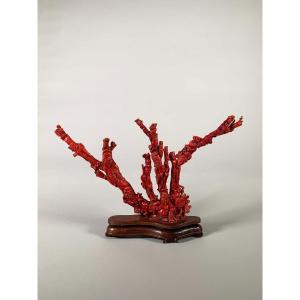 Large Coral Sculpture China Early 20th Century 