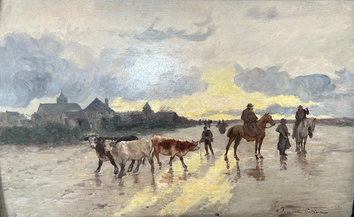 The Cow Walk On The Beach