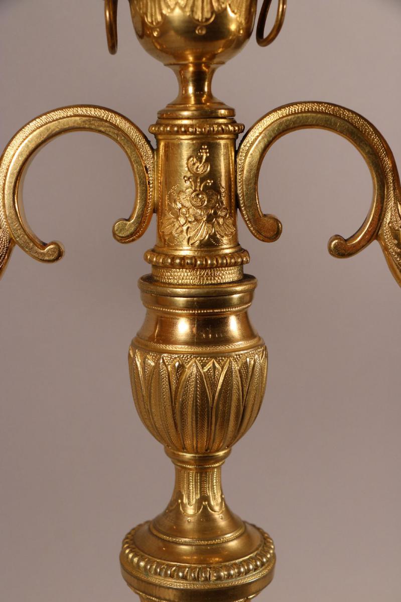 Pair Of Candelabra Dual Arm Of Light, Bronze Carved And Gilded, Louis XVI.-photo-3